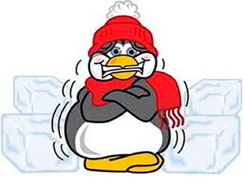 pinguim frio - erro 404